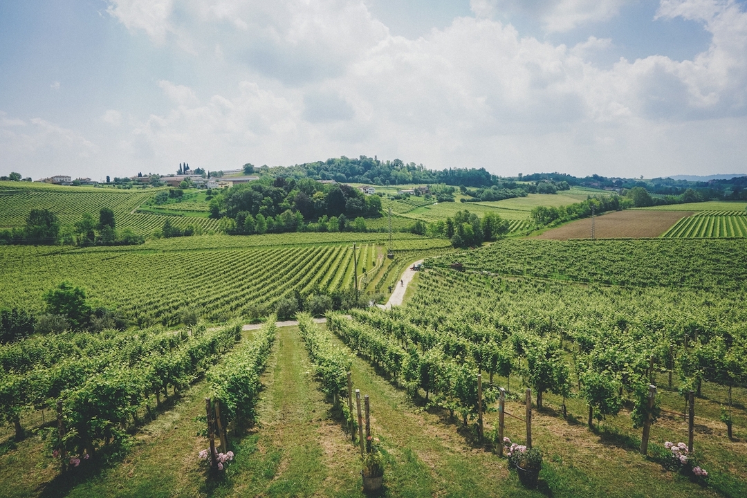 Prosecco Wine Tour from Venice 7