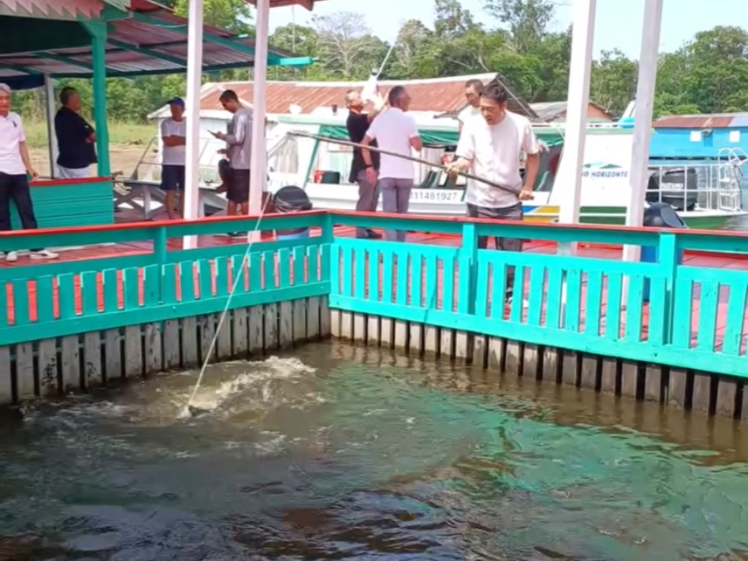 Tour Safari Amazônico em Manaus (Compartilhado) 6