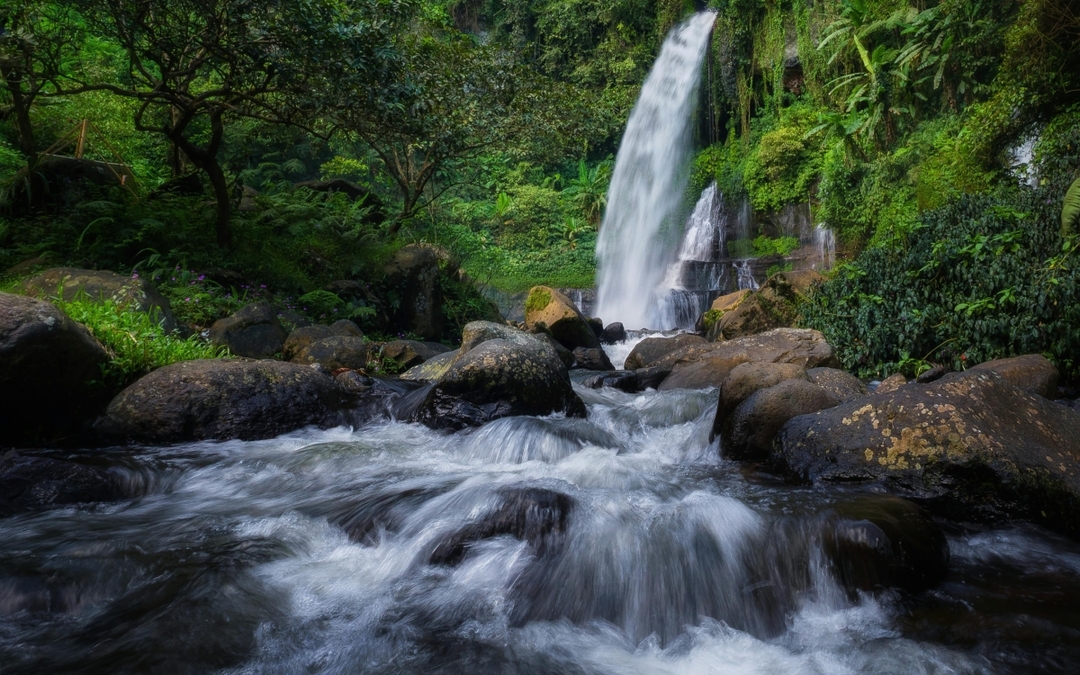 Ultimate Salalah Journey, Oman 1