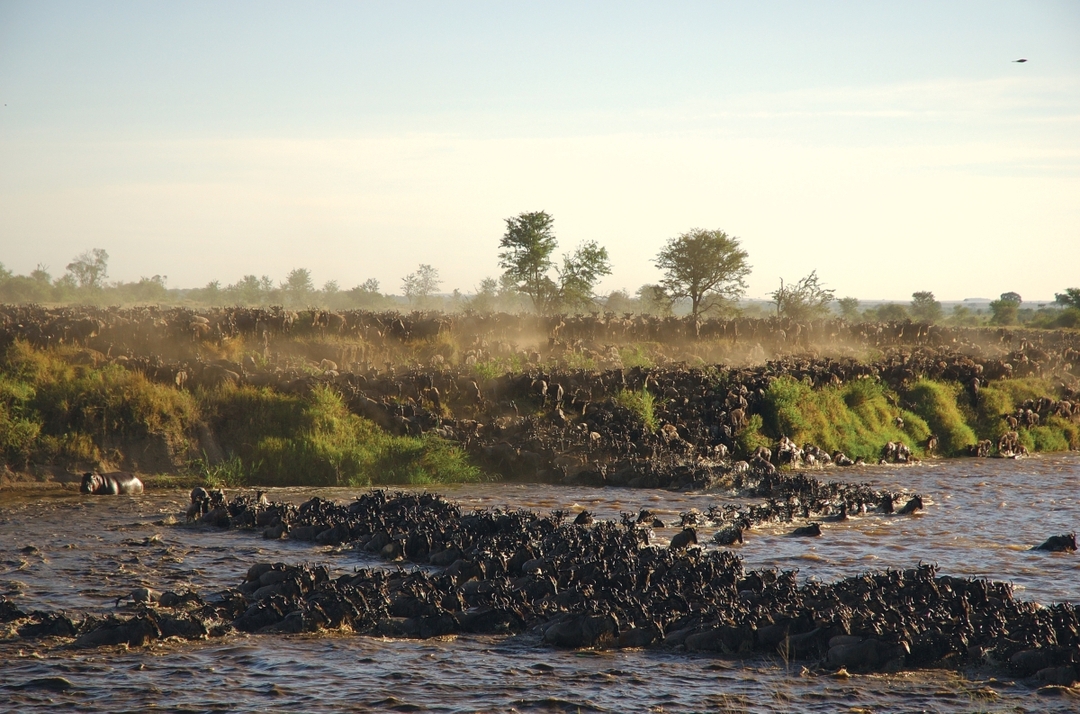 4 Days Tanzania Classic Safari 9