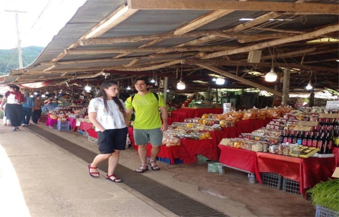 CHIANG MAI: One day Doi Inthanon-Waterfall - Lunch 6