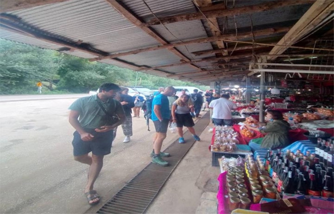 Chiang Mai: One day Doi Inthanon-Kew Mae Pan Nature Trail-Waterfall-Lunch 5