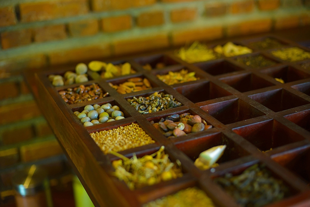 Ultimate Ayurveda & Wellness Journey 9