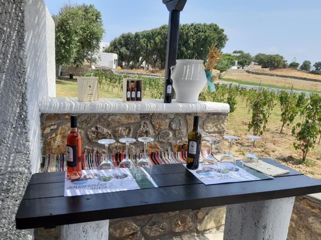 Wine Tasting in our Mykonian Farm 5