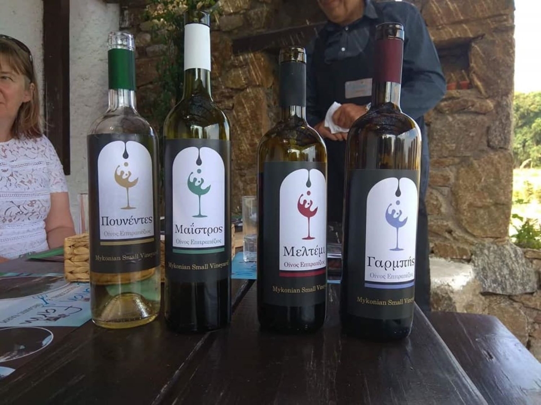 Wine Tasting in our Mykonian Farm 3