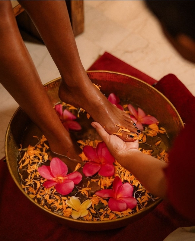 Ayurveda Wellness Tour 15 Day 7