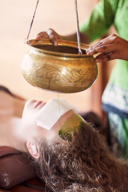 Ayurveda Wellness Tour 15 Day 9