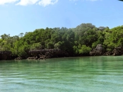 Safari blue or Menai Bay