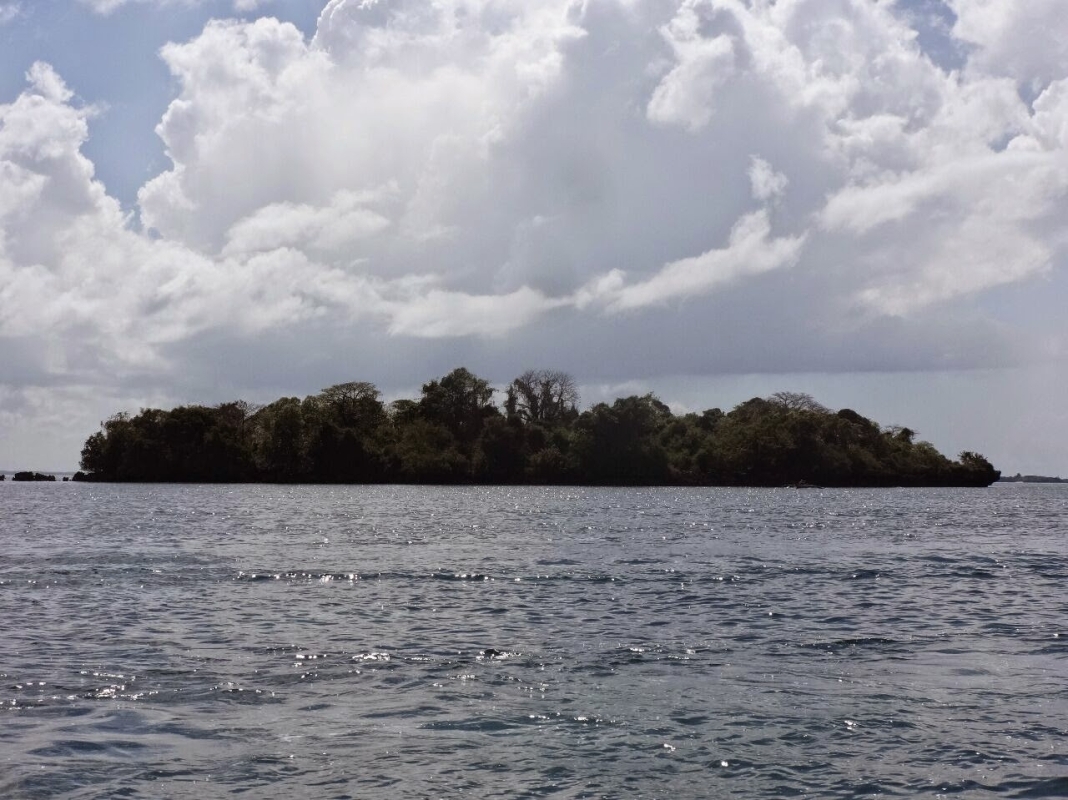 Safari blue or Menai Bay 4