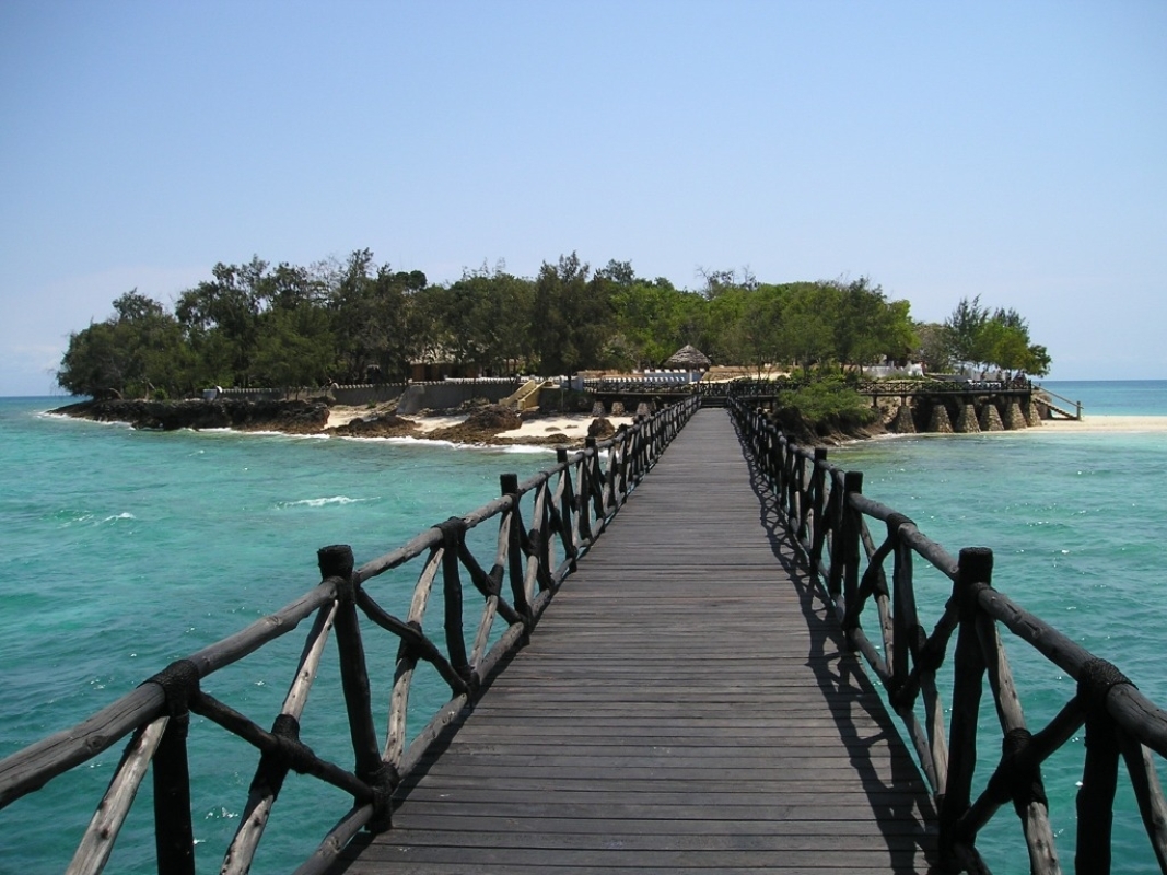 Prison Island (Changuu Island) Tour 1