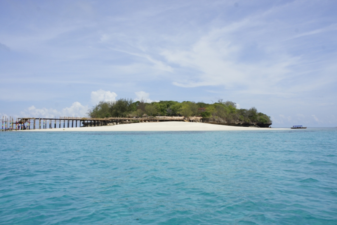 Prison Island (Changuu Island) Tour 2