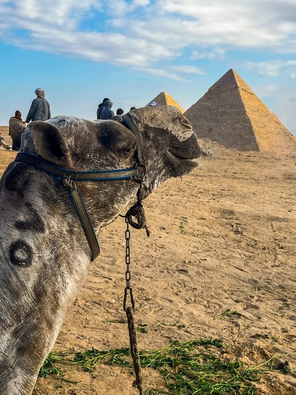 Private Cairo Pyramids, Sphinx & Hidden Gems Tour with Licensed Egyptologist 7