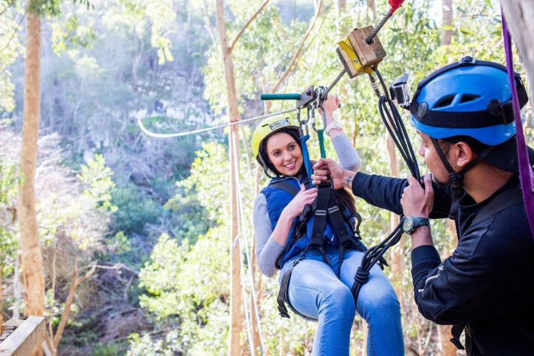 Cape Town: ZIPLINE ACTIVITY (Hotel Pickup included) 1