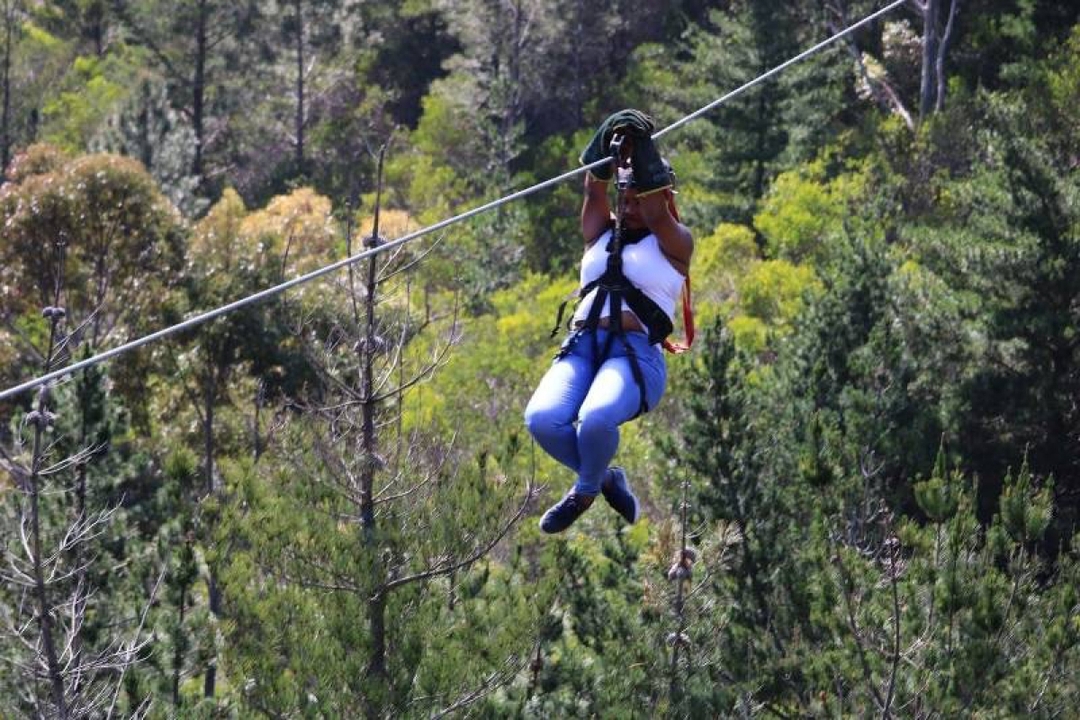 Cape Town: ZIPLINE ACTIVITY (Hotel Pickup included) 3