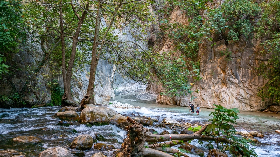 6 Day Patara Beach & Saklıkent Gorge Tour: Nature, History & Mediterranean Escape 10