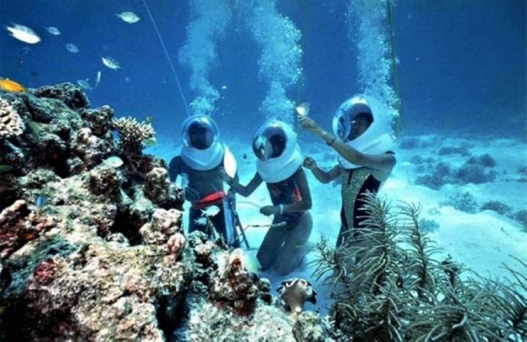 Pattaya-Koh Larn:  Speed boat+Sea walker+Parasailing +Snorkelling+lunch 1
