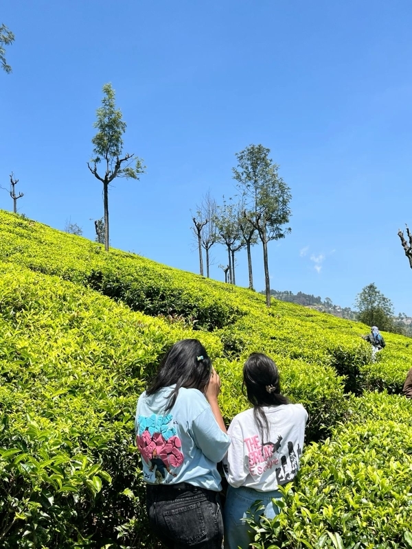 Sri Lanka for Families 10 Days 2