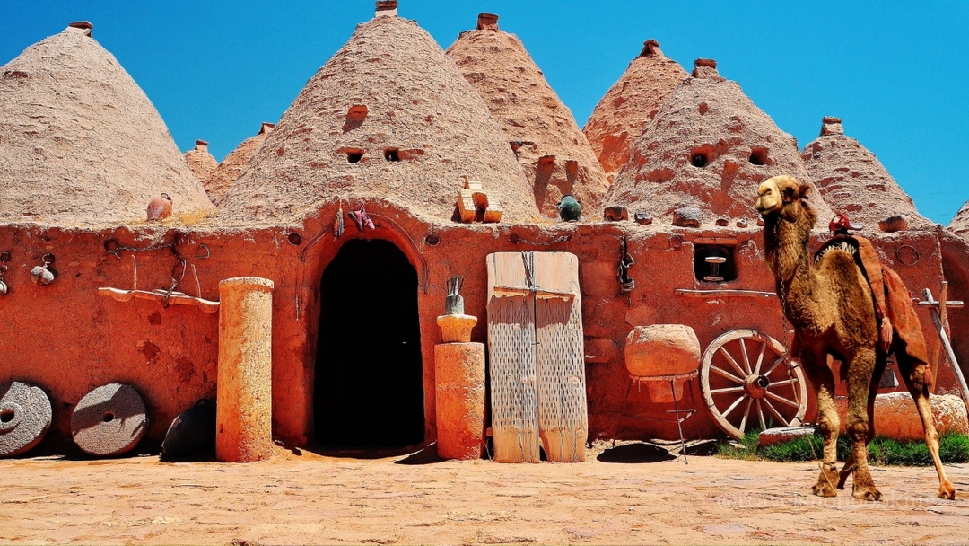 9 Day Ancient Mesopotamia & Southeastern Turkey Cultural Heritage Tour 6