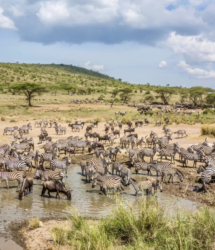 7 Days Northern Circuit Tanzania Safari 3