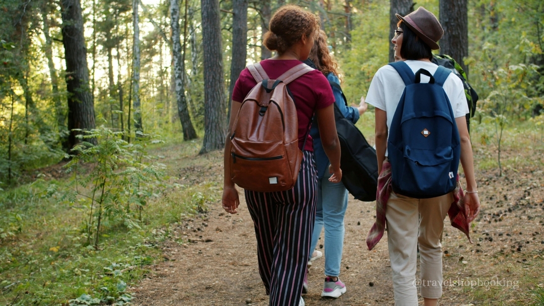 Istanbul Belgrad Forest Hiking & Trekking Tour with Local Hikers 6