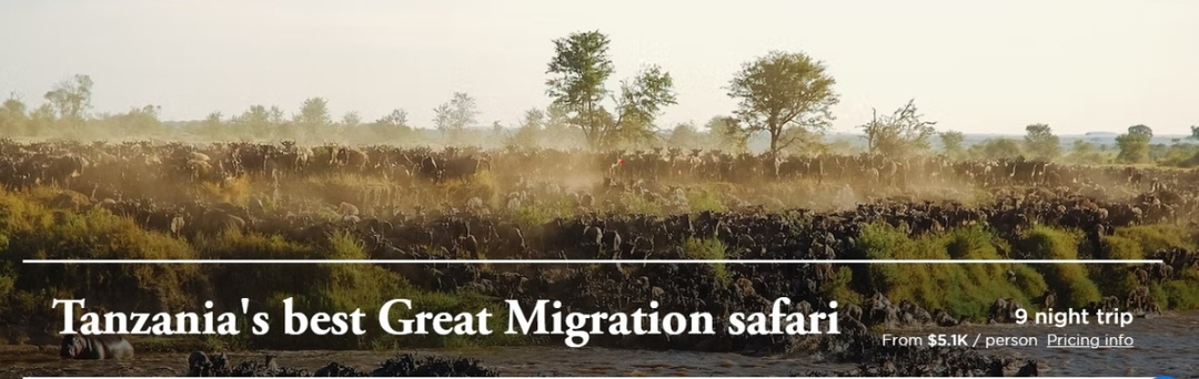 7 Days Great Wildebeest Migration Safari 1