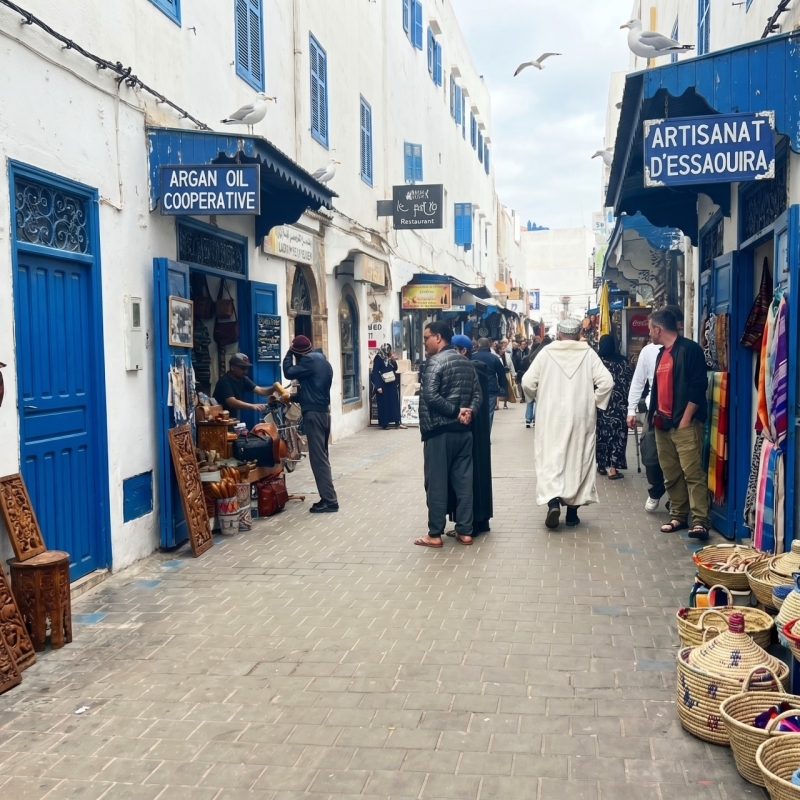 From Marrakech To Essaouira Mogador Full Day Trip | Share Group Tour 6