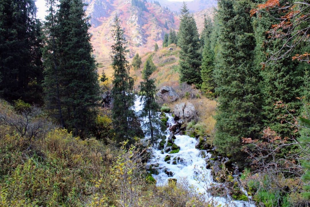 2-Day tour Nature Escape: Koltor Lake & Chon-Kemin Valley 2