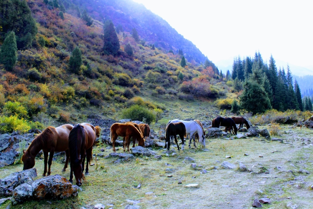 2-Day tour Nature Escape: Koltor Lake & Chon-Kemin Valley 4