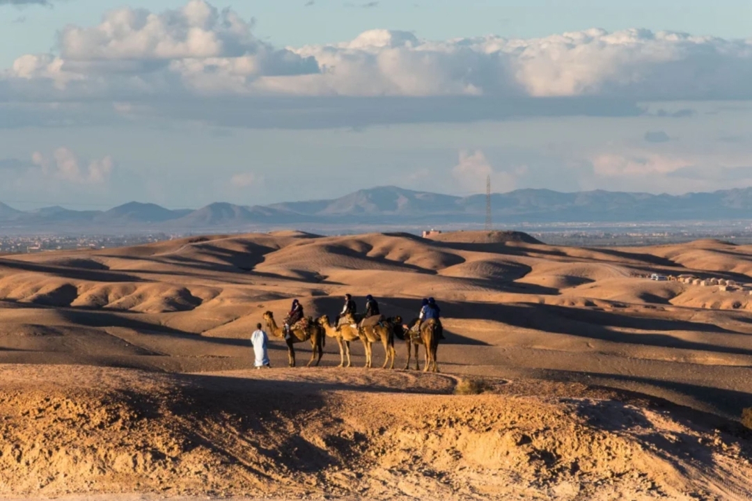 Agafay Desert Camel Riding Experience: 1-Hour Adventure from Marrakech 6