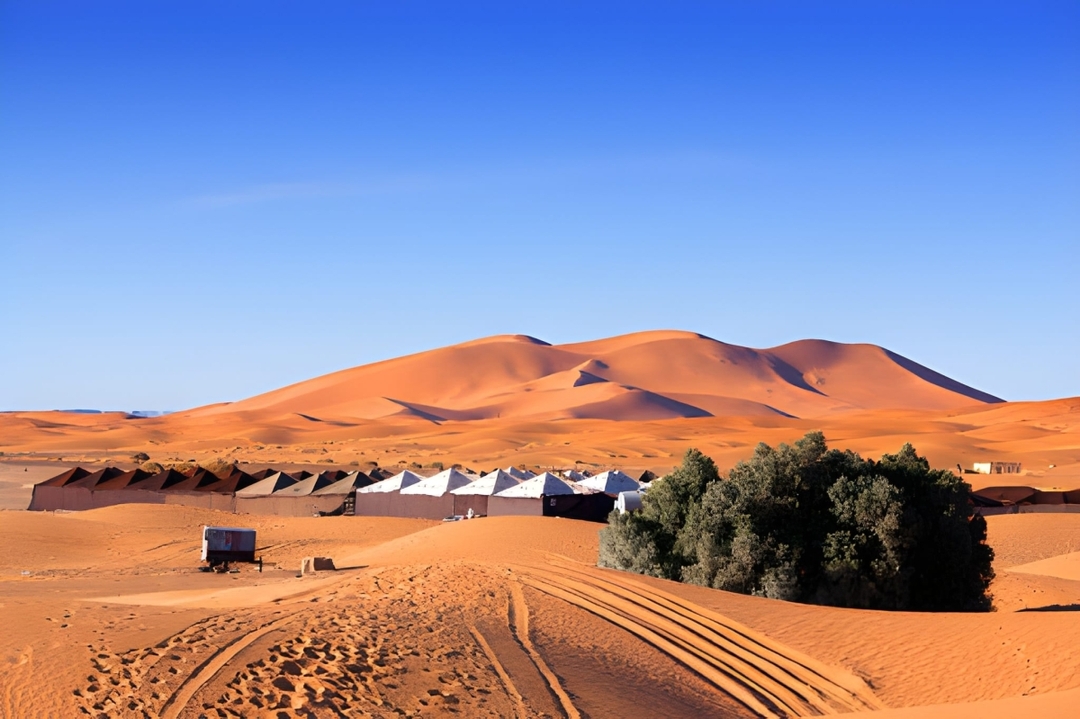 Agafay Desert Camel Riding Experience: 1-Hour Adventure from Marrakech 8