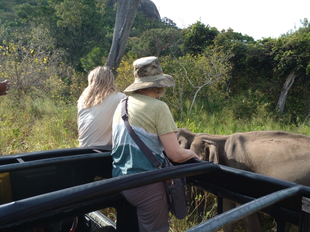 Wildlife and Nature Tour-18Days 5