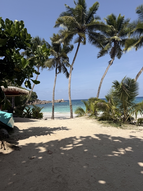 Mahe: Amedee Island Tour 2