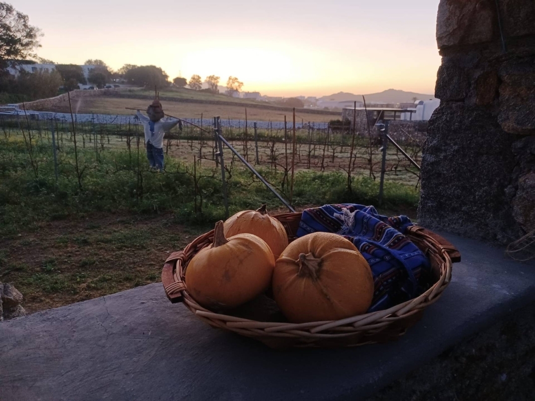 Mykonian Farm Entrance 2