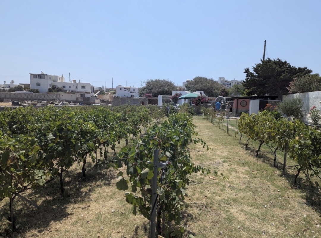 Mykonian Farm Entrance 6