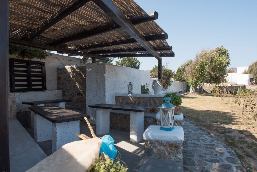Mykonian Farm Experience 5