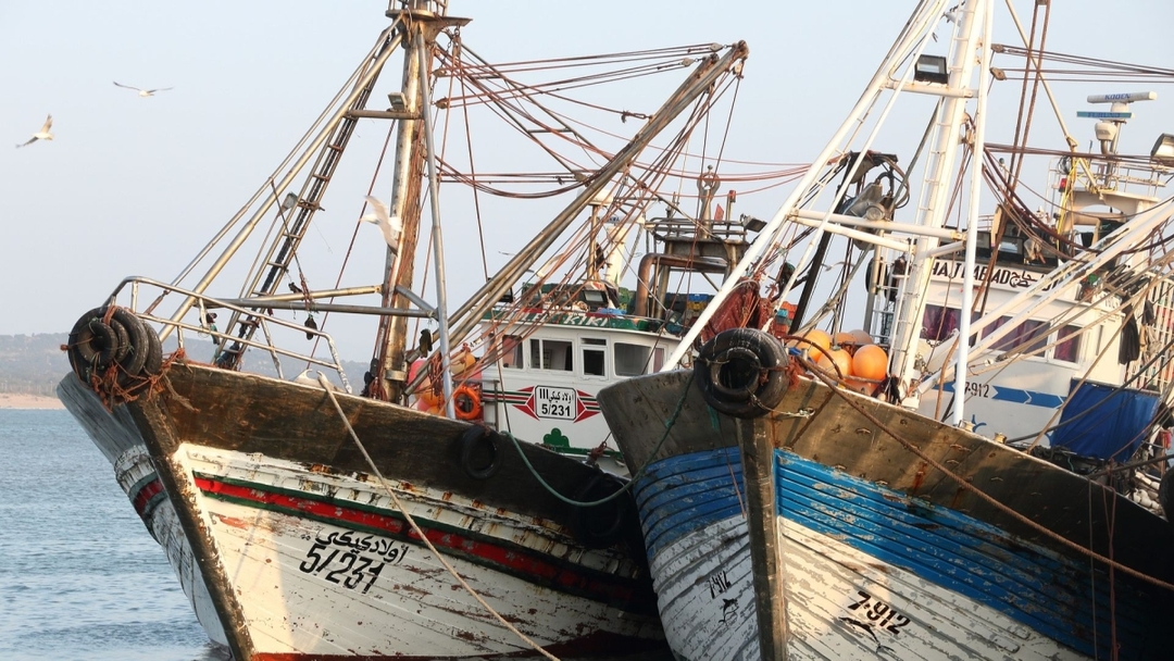 Day Trip to Essaouira from Marrakech 5
