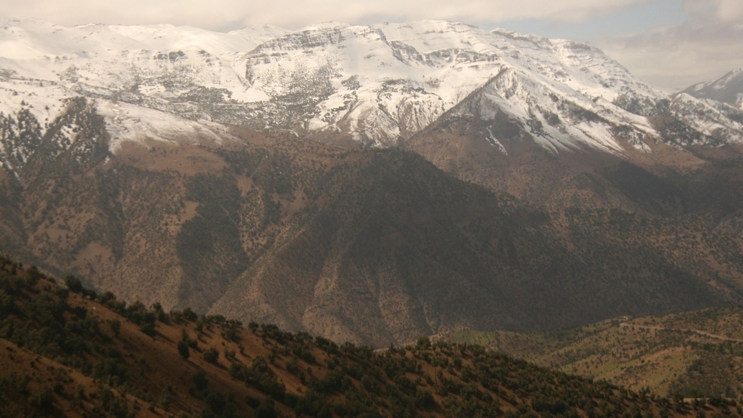 Ouzoud Waterfall from Marrakech: 1-Day Nature Excursion 5