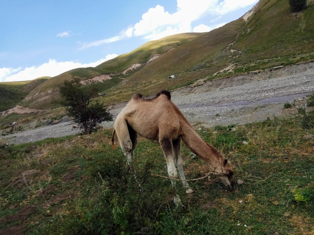 5-Day Horse Riding & Cultural Tour – Kyrgyzstan 1