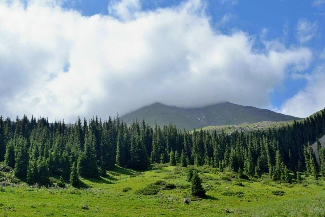 6 DAY TOUR KYRGYZSTAN 1