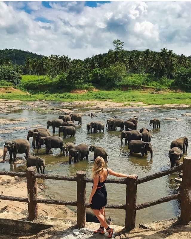 Solo Travel in Sri Lanka 8