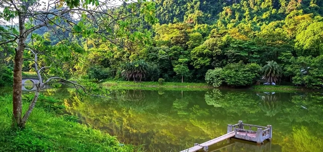 ITA Travel - Vietnam Optional Tour - 2 day tour Ninh Binh - Trekking Cuc Phuong National Park 3