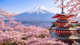 Mt Fuji Top 6 Spots Day Tour