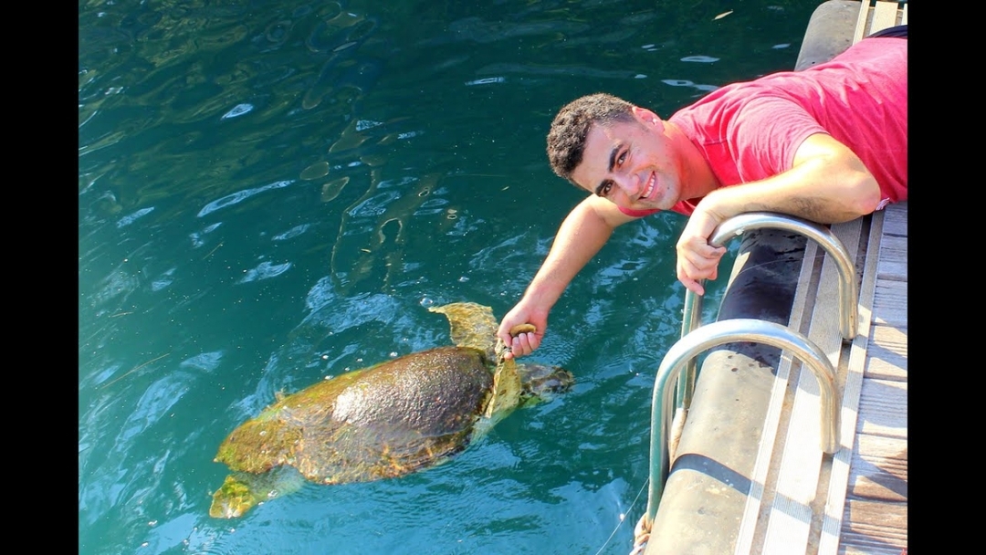 Dalyan Relax Boat Trip with Mud Baths & Iztuzu Beach 10