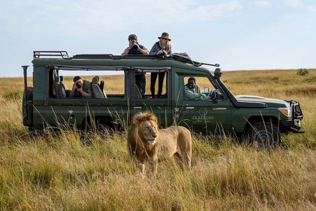 7DaysSerengeti Wildebeests Migration Crossing 6