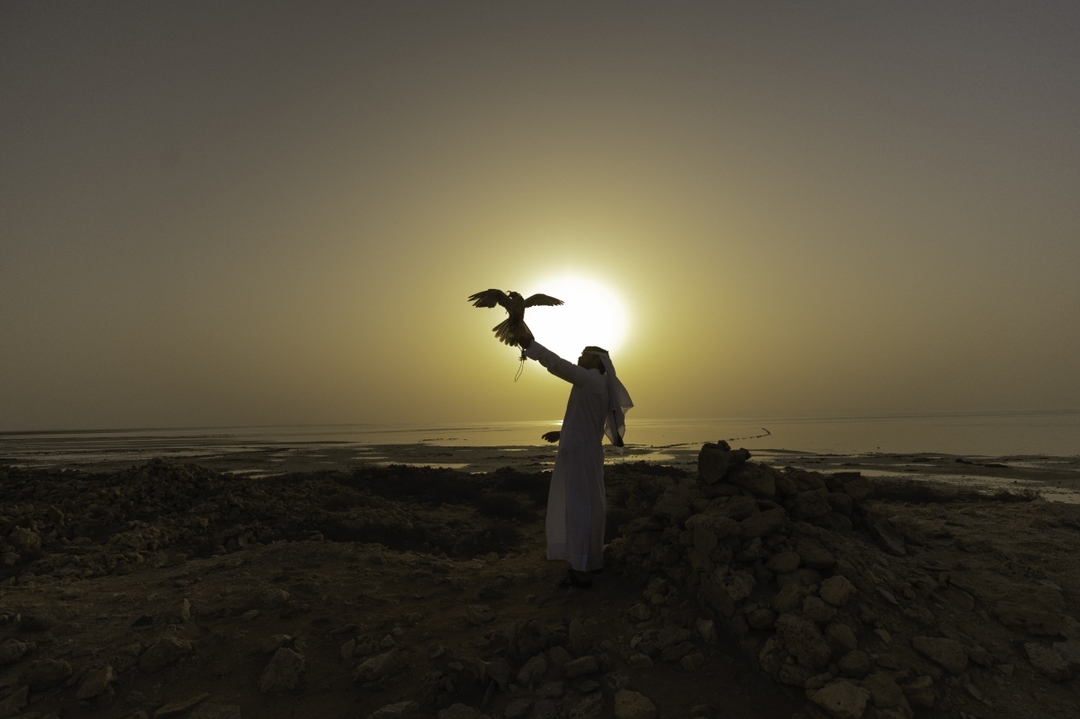 Half Day Desert Safari Qatar Adventure | Dune Bashing & Inland Sea Tour-Doha 10