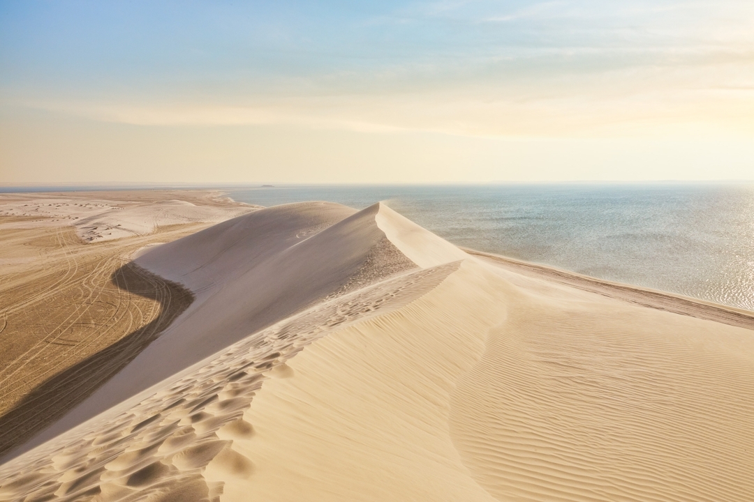 Half Day Desert Safari Qatar Adventure | Dune Bashing & Inland Sea Tour-Doha 7