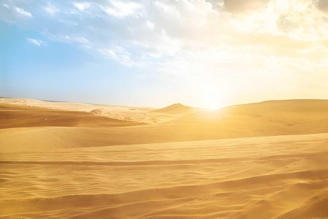 Half Day Desert Safari Qatar Adventure | Dune Bashing & Inland Sea Tour-Doha 6