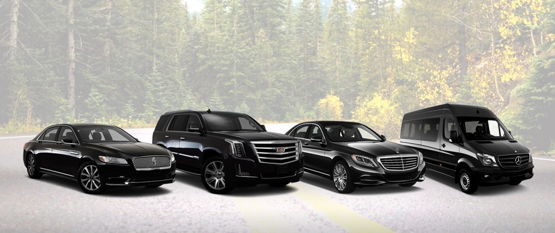 Private Doha Airport Transfer | Hamad International Airport Pick-Up & Drop-Off Service 5