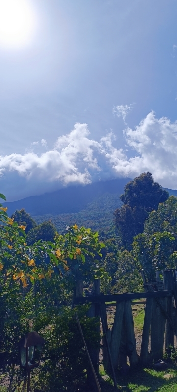 Primate Encounters & Highland Adventures – 9 Days Safari & Nile Thrill 4