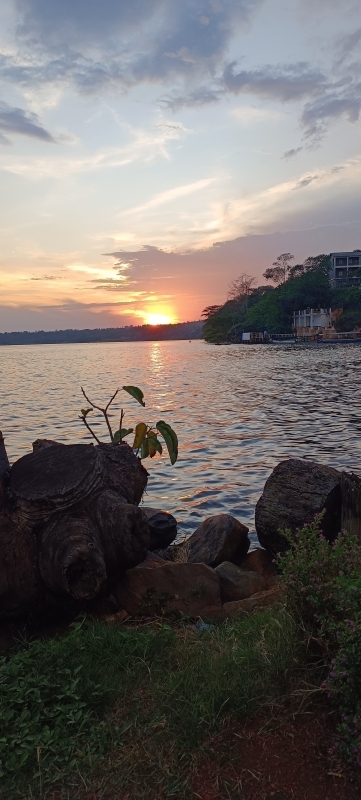 Primate Encounters & Highland Adventures – 9 Days Safari & Nile Thrill 7
